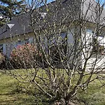 La Belle Echappee *