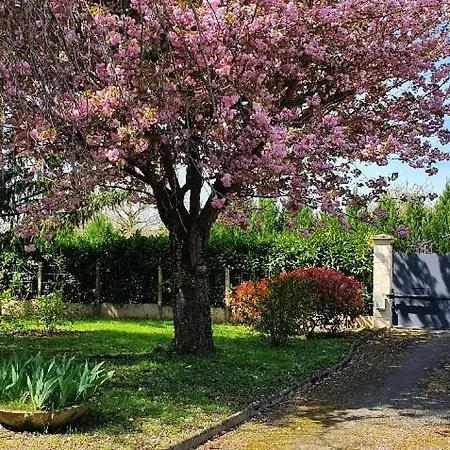 La Belle Echappee Tatil Evi Saint-Clément-des-Levées