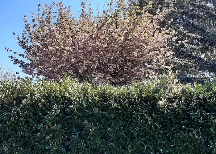 Σπίτι διακοπών La Belle Echappee